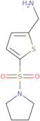 [5-(Pyrrolidine-1-sulfonyl)thiophen-2-yl]methanamine