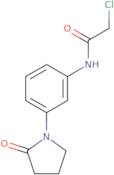 2-Chloro-N-[3-(2-oxopyrrolidin-1-yl)phenyl]acetamide