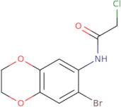 N-(7-Bromo-2,3-dihydro-1,4-benzodioxin-6-yl)-2-chloroacetamide