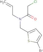 N-[(5-Bromothiophen-2-yl)methyl]-2-chloro-N-(prop-2-en-1-yl)acetamide