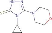 4-Cyclopropyl-5-(morpholin-4-yl)-4H-1,2,4-triazole-3-thiol