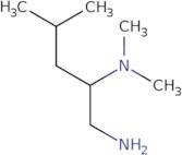 (1-Amino-4-methylpentan-2-yl)dimethylamine