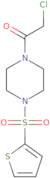 2-Chloro-1-[4-(thiophene-2-sulfonyl)piperazin-1-yl]ethan-1-one