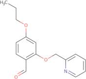 4-Propoxy-2-(pyridin-2-ylmethoxy)benzaldehyde