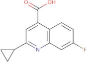 2-Cyclopropyl-7-fluoroquinoline-4-carboxylic acid