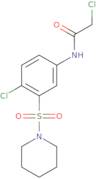 2-Chloro-N-[4-chloro-3-(piperidine-1-sulfonyl)phenyl]acetamide