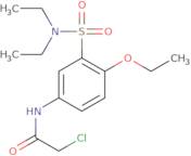 2-Chloro-N-[3-(diethylsulfamoyl)-4-ethoxyphenyl]acetamide