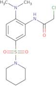 2-Chloro-N-[2-(dimethylamino)-5-(piperidine-1-sulfonyl)phenyl]acetamide