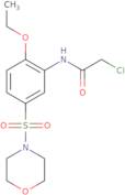 2-Chloro-N-[2-ethoxy-5-(morpholine-4-sulfonyl)phenyl]acetamide