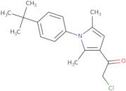 1-[1-(4-tert-Butylphenyl)-2,5-dimethyl-1H-pyrrol-3-yl]-2-chloroethan-1-one