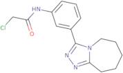 2-Chloro-N-(3-{5H,6H,7H,8H,9H-[1,2,4]triazolo[4,3-a]azepin-3-yl}phenyl)acetamide