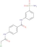 4-(2-Chloroacetamido)-N-(3-sulfamoylphenyl)benzamide