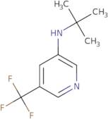 N-tert-Butyl-5-(trifluoromethyl)pyridin-3-amine