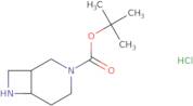 tert-Butyl 3,7-diazabicyclo[4.2.0]octane-3-carboxylate hydrochloride