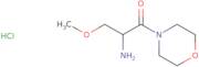 2-Amino-3-methoxy-1-(morpholin-4-yl)propan-1-one hydrochloride