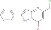 5-(Chloromethyl)-2-phenylpyrazolo[1,5-a]pyrimidin-7(4H)-one