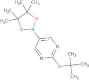 2-(tert-Butoxy)-5-(4,4,5,5-tetramethyl-1,3,2-dioxaborolan-2-yl)pyrimidine