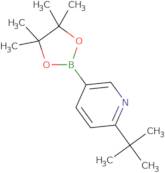 2-tert-Butyl-5-(tetramethyl-1,3,2-dioxaborolan-2-yl)pyridine