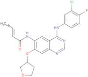 Des(dimethylamino)-afatinib