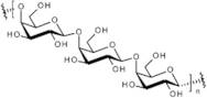 Pectic galactan - From lupin