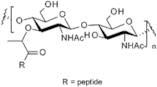 Peptidoglycan - from Staphylococcus aureus