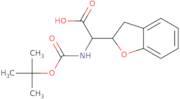 rac-(2R)-2-{[(tert-Butoxy)carbonyl]amino}-2-[(2R)-2,3-dihydro-1-benzofuran-2-yl]acetic acid