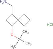 rac-[(1S,3R)-3-(tert-Butoxy)spiro[3.3]heptan-1-yl]methanamine hydrochloride