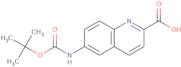 6-((tert-Butoxycarbonyl)amino)quinoline-2-carboxylic acid