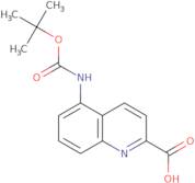 5-((tert-Butoxycarbonyl)amino)quinoline-2-carboxylic acid
