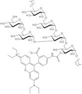 Rhodamine B isothiocyanate-dextran - Average MW 70,000