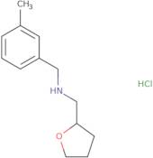 (3-Methylphenyl)-N-(tetrahydro-2-furanylmethyl)-methanamine hydrochloride