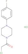 2-Chloro-1-[4-(4-fluorophenyl)piperazin-1-yl]ethan-1-one hydrochloride