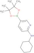 N-Cyclohexyl-5-(4,4,5,5-tetramethyl-1,3,2-dioxaborolan-2-yl)pyridin-2-amine