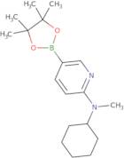 2-(Cyclohexylmethylamino)pyridine-5-boronic acid pinacol ester