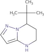 7-tert-Butyl-4H,5H,6H,7H-pyrazolo[1,5-a]pyrimidine