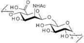 Teichuronic acid