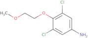3,5-Dichloro-4-(2-methoxyethoxy)aniline