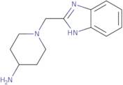 1-(1H-1,3-Benzodiazol-2-ylmethyl)piperidin-4-amine