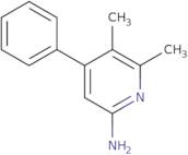 5,6-Dimethyl-4-phenylpyridin-2-amine