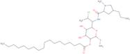 Clindamycin stearate