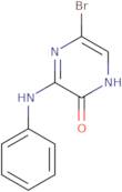 5-Bromo-3-(phenylamino)-1,2-dihydropyrazin-2-one