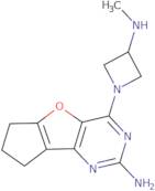 6H-Cyclopenta[4,5]furo[3,2-d]pyrimidin-2-amine, 7,8-dihydro-4-[3-(methylamino)-1-azetidinyl]