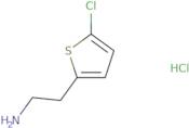 2-(5-Chlorothiophen-2-yl)ethan-1-amine hydrochloride