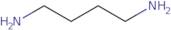 1,4-Diaminobutane-13C4