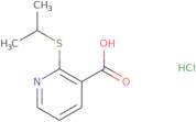 2-(Propan-2-ylsulfanyl)pyridine-3-carboxylic acid hydrochloride