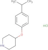 4-[4-(Propan-2-yl)phenoxy]piperidine hydrochloride