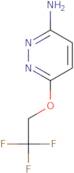 6-(2,2,2-Trifluoroethoxy)pyridazin-3-amine