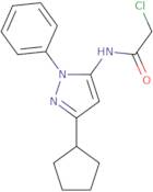 2-Chloro-N-(3-cyclopentyl-1-phenyl-1H-pyrazol-5-yl)acetamide