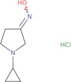 N-(1-Cyclopropylpyrrolidin-3-ylidene)hydroxylamine hydrochloride