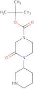 tert-Butyl 3-oxo-4-(piperidin-3-yl)piperazine-1-carboxylate